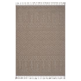 4X6 Natural /Traditional Indoor/Outdoor Area Rug