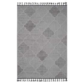 4X6 White/Grey /Trellis Indoor/Outdoor Area Rug