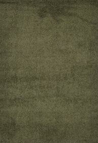 Shaggy Area Rugs, Carpets For Livingroom, 7x10 Area Rugs ,Shaggy Green